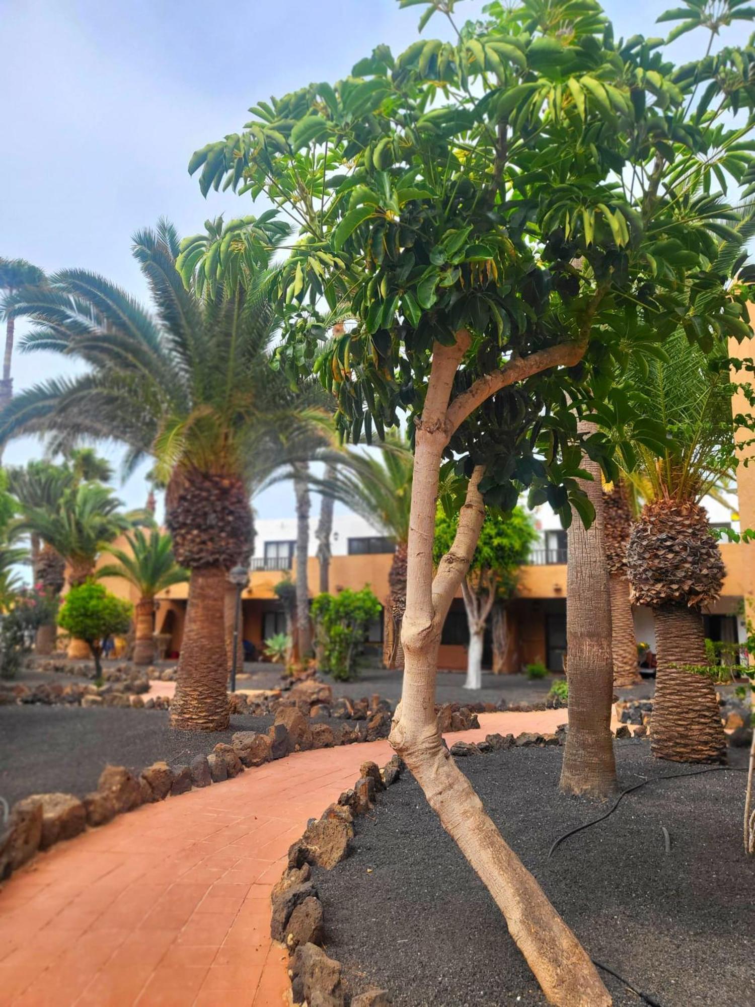 Oasis Dunas Raices Del Mar Paraiso Unico Apartment *