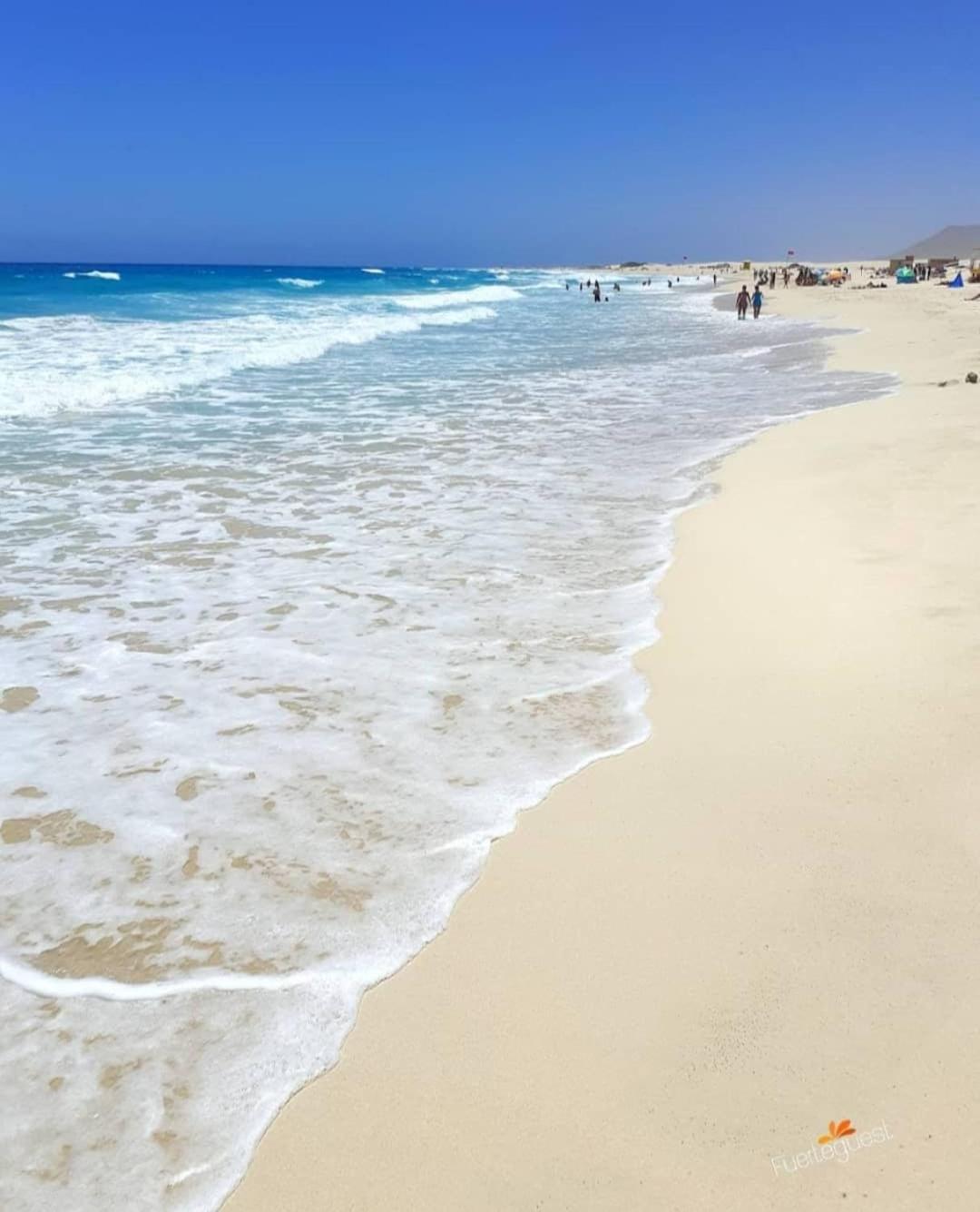 Oasis Dunas Raices Del Mar Paraiso Unico * Corralejo